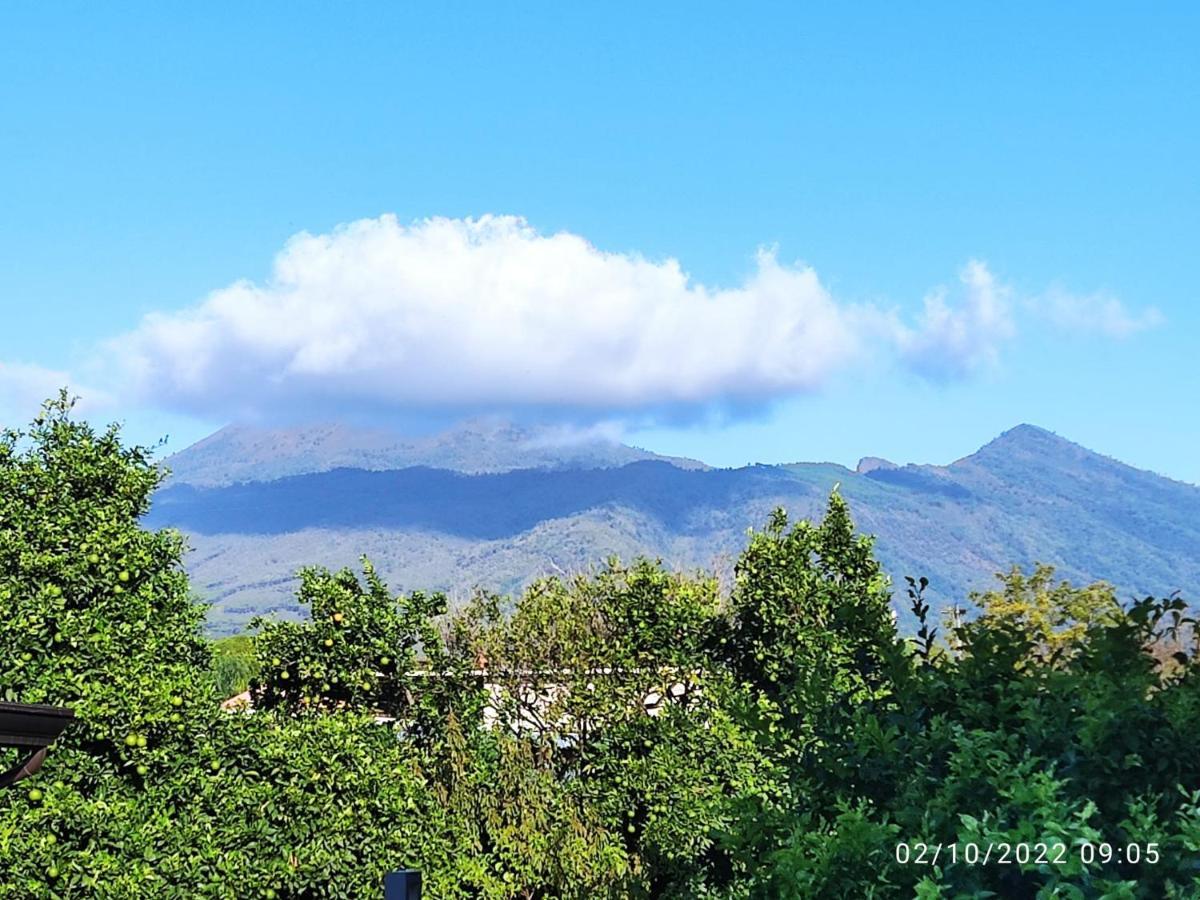 Rosa Vesuviana Bed & Breakfast บอสโกเรอาเล ภายนอก รูปภาพ
